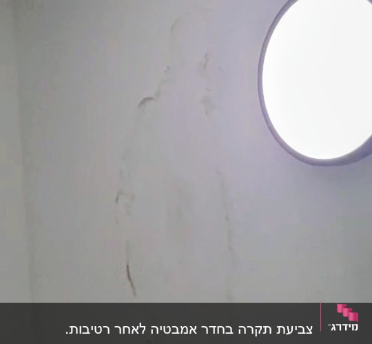 כתם על קיר לבן ליד מנורה עגולה